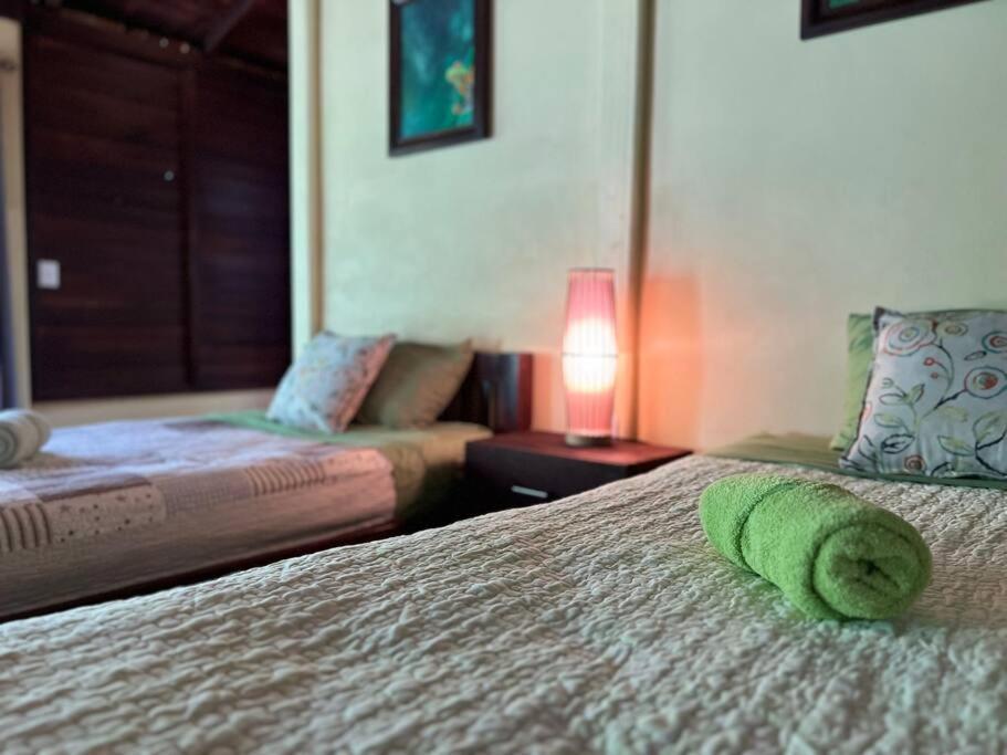 Casita Lidia Bijagua Bed & Breakfast Exterior photo