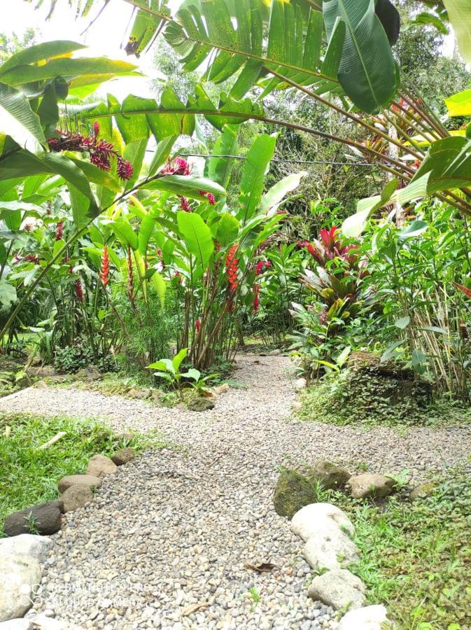 Casita Lidia Bijagua Bed & Breakfast Exterior photo